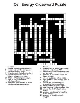 Cell Energy Crossword Puzzle by The Teacher Team | TpT