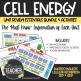 Cell Energy - Photosynthesis & Cellular Respiration Bundle