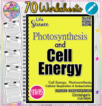 Preview of Cell Energy | Process Of Photosynthensis | Cellular Respiration | Fermentation|