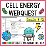Cell Energy Webquest: Respiration & Photosynthesis Webques