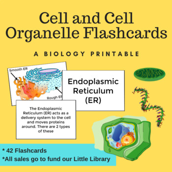 Preview of Cell Flashcards - 42 Double Sided Flashcards - Cell Organelles - Bonus Games