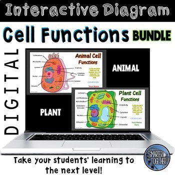 Preview of Plant and Animal Cell Function Digital Bundle