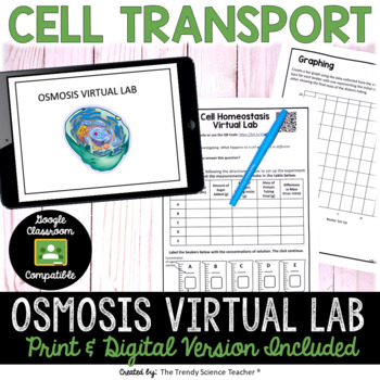 Preview of Cell Homeostasis: Virtual Osmosis Lab