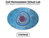 Cell Homeostasis Virtual Lab Worksheet