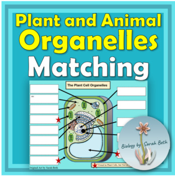 Preview of Labeling Cellular Organelles in Plant and Animal Cells Digital Interactive