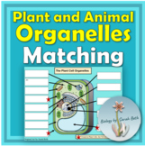 Labeling Cellular Organelles in Plant and Animal Cells Dig