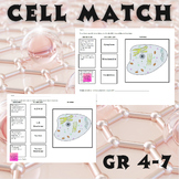 Cell Match NO Prep Science Worksheet