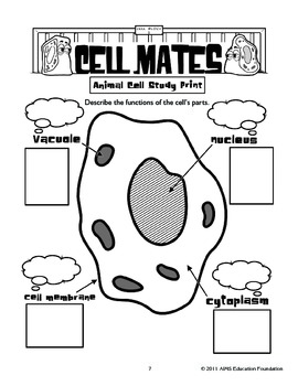 AIMS Activity: Cell Mates by AIMS Education Foundation | TpT