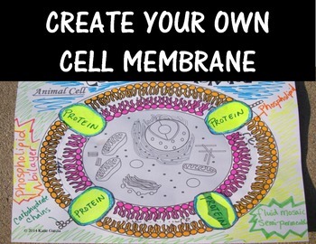 Preview of Cell Membrane