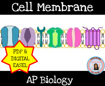 Preview of Cell Membrane AP Biology Cell Transport | Print and Digital EASEL