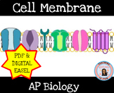 Cell Membrane AP Biology Cell Transport | Print and Digital EASEL