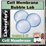 Cell Membrane Bubble Hypothesis Lab
