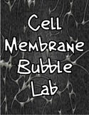 Cell Membrane Bubble Lab