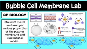 Preview of Cell Membrane Bubble Lab AP Biology