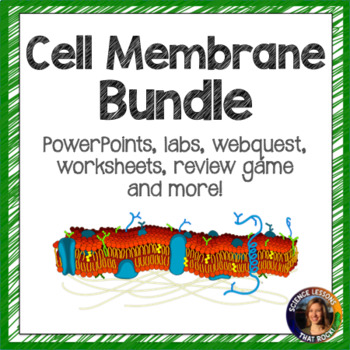 Preview of Cell Membrane Bundle