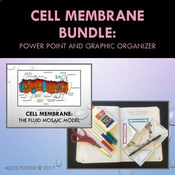Preview of Cell Membrane Bundle: PowerPoint and Graphic Organizer Notes