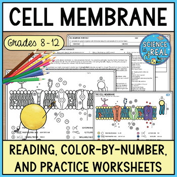 Preview of Cell Membrane Color By Number, Reading, and Worksheets