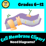Cell Membrane Diagrams Clipart (Biology Clip Art)