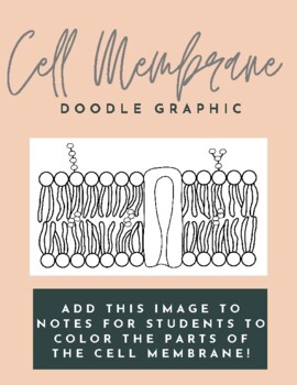 Preview of Cell Membrane Doodle Graphic