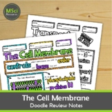 Cell Membrane Doodle Sheet Visual Notes Worksheets Biology