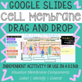 Cell Membrane Drag and Drop
