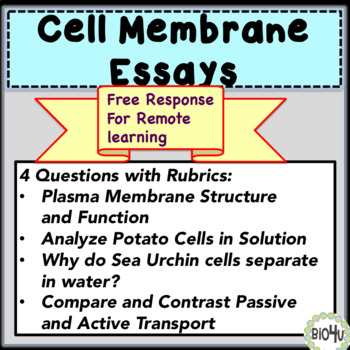Preview of Cell Membrane Essays