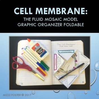 Preview of Cell Membrane Graphic Organizer Foldable for Interactive Notebook