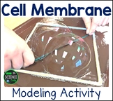 Cell Membrane Lab Activity - Modeling the Cell Membrane