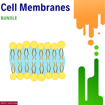 Preview of Cell Membrane Mastery Bundle: Unlocking the Secrets of Cellular Gatekeepers
