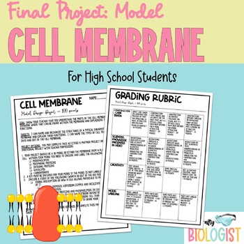 Preview of Cell Membrane Model Project for High School