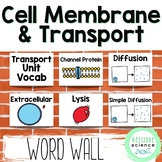 Cell Membrane, Passive and Active Transport Word Wall and 