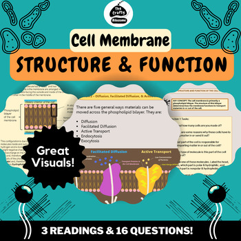 Preview of Cell Membrane Structure, Diffusion, Active Transport, Endocytosis, Exocytosis