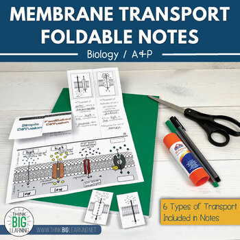 Preview of Cell Membrane Transport Foldable Notes and Supplemental PowerPoint
