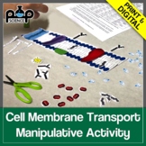 Cell Membrane Transport Manipulative Activity Digital and 