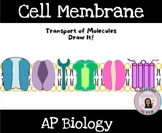 Cell Membrane Transport of Molecules AP Biology