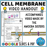 Cell Membrane Video Handout for Video Made by The Amoeba Sisters