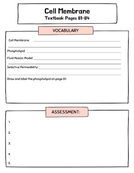 Preview of Cell Membrane Vocabulary and Assessment Questions Worksheet
