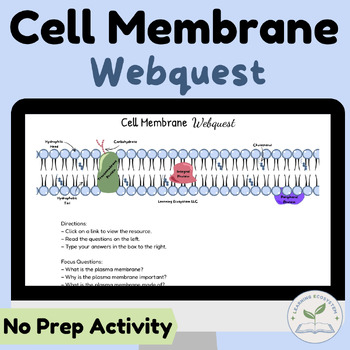 Preview of Cell Membrane - Webquest