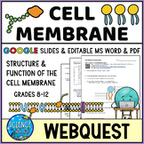 Cell Membrane Webquest - Editable MS Word, PDF, and Google Slides