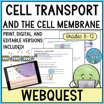 Preview of Cell Membrane and Cell Transport Webquest