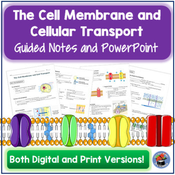 Preview of Cell Membrane and Cellular Transport Guided Notes and PowerPoint