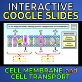 Cell Membrane and Cellular Transport -- Interactive Google Slides