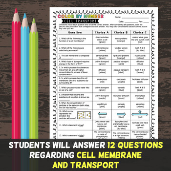 Cell Membrane And Transport Color By Number Science Color By Number