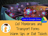 Biology Warm up or Bell Ringer Google Forms: Cell Membrane