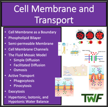 Cell Membrane and Transport - Google Slides and Distance Learning Ready