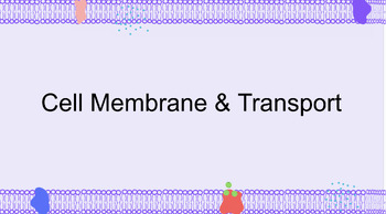 Preview of Cell Membrane and Transport Notes: Slides