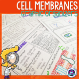 Transport across Cell Membranes (Diffusion, Osmosis & Acti