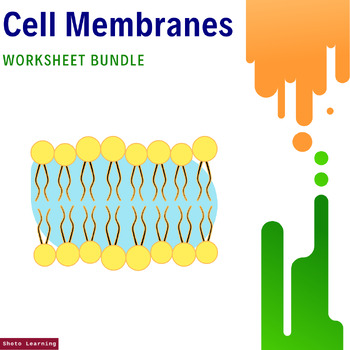 Preview of Cell Membranes Worksheet Bundle: Comprehensive Resources for Cellular Biology