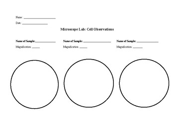 Microscope Parts And Functions Worksheet Pdf