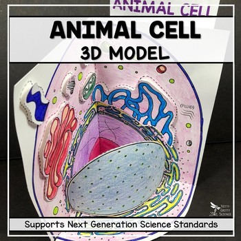 Cell Model - Animal Cell 3D by Nitty Gritty Science | TPT